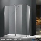 מודרני ללכת במארז מקלחת עם דלת ציר בר תמיכה